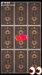 新井敏朗ブリーダーからお迎えした日本スピッツ：しらたまくん