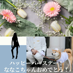 宮村佳子ブリーダーからお迎えしたトイプードル：こむぎちゃん