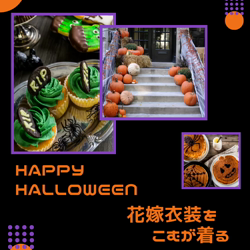 宮村佳子ブリーダーからお迎えしたトイプードル：こむぎちゃん