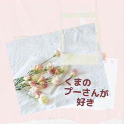 宮村佳子ブリーダーからお迎えしたトイプードル：こむぎちゃん