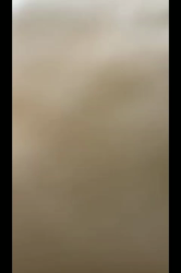 根崎明宏ブリーダーからお迎えしたラグドール：トイちゃん