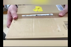 根崎明宏ブリーダーからお迎えしたラグドール：トイちゃん