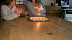 村井令枝ブリーダーからお迎えしたブリティッシュショートヘア：ししちゃん