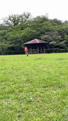 伊藤光央ブリーダーからお迎えしたトイプードル：きなこちゃん