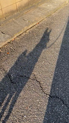 西岡芳隆ブリーダーからお迎えした柴犬：宇宙くん