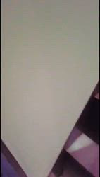 中野康宏ブリーダーからお迎えしたパピヨン：ふーくん