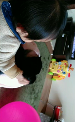 榎田園美ブリーダーからお迎えしたミニチュアダックスフンド(ロング)：笑日(わらび)くん