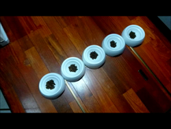 神原崇ブリーダーからお迎えしたメインクーン：信濃くん