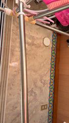 黄慧琳ブリーダーからお迎えしたエキゾチックショートヘア：文ちゃん