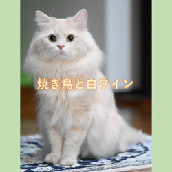 神原崇ブリーダーからお迎えしたサイベリアン：にゃーにゃくん