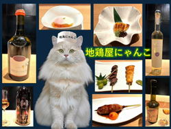 神原崇ブリーダーからお迎えしたサイベリアン：にゃーにゃくん