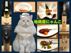 神原崇ブリーダーからお迎えしたサイベリアン：にゃーにゃくん