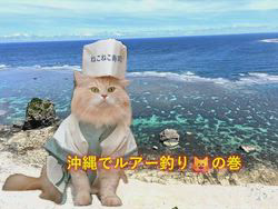 神原崇ブリーダーからお迎えしたサイベリアン：にゃーにゃくん