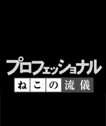 前野幹子ブリーダーからお迎えしたミヌエット：マカロンちゃん
