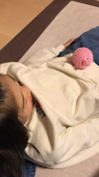 小倉幸子ブリーダーからお迎えしたミニチュアダックスフンド(ロング)：ゆばくん