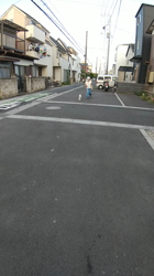 田本美佐ブリーダーからお迎えしたチワワとマルチーズのミックス：桜くん