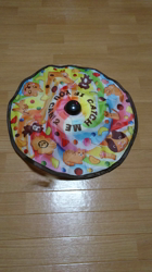 斉木裕ブリーダーからお迎えしたスコティッシュフォールド：ゆずくん