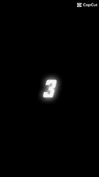 村井令枝ブリーダーからお迎えしたブリティッシュロングヘア：蘭丸くん