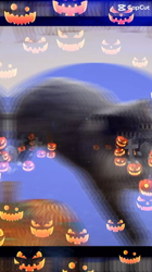 村井令枝ブリーダーからお迎えしたブリティッシュロングヘア：蘭丸くん