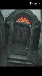 村井令枝ブリーダーからお迎えしたブリティッシュロングヘア：蘭丸くん