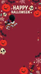 村井令枝ブリーダーからお迎えしたブリティッシュロングヘア：蘭丸くん